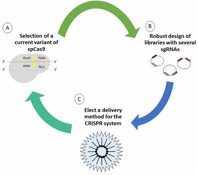 Editing the Central Nervous System Through CRISPR/Cas9 Systems